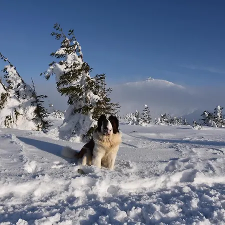 아파트 Karkonoska 12 *