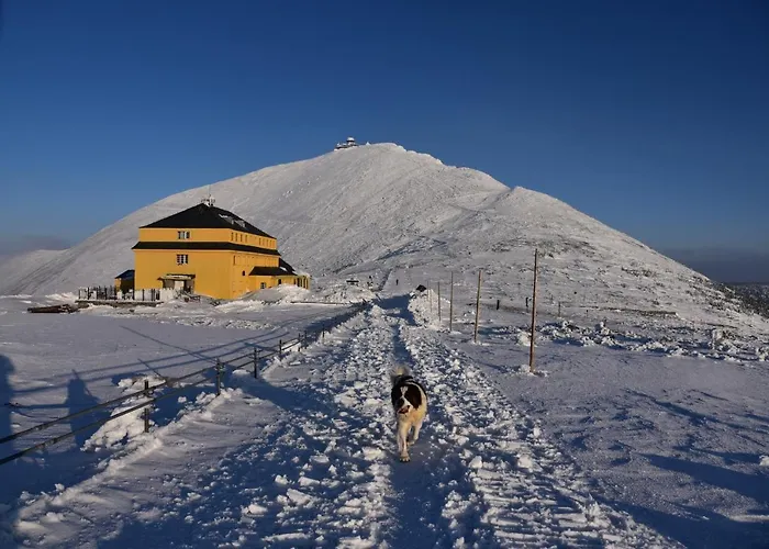 아파트 Karkonoska 12 *