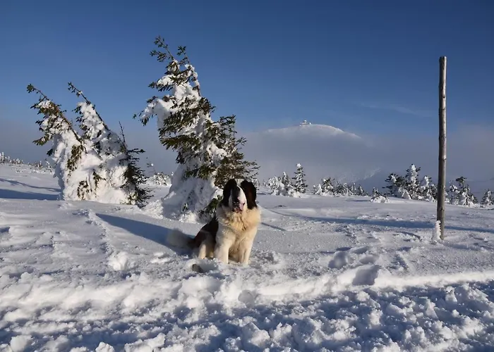 아파트 Karkonoska 12 *